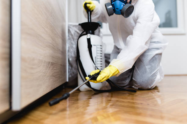 Best Residential Pest Control  in Tahoma, CA