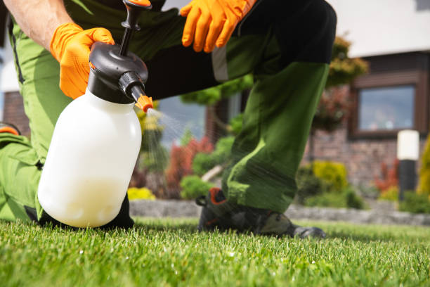 Best Insect Control  in Tahoma, CA