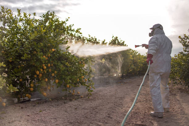 Best Pest Inspection Near Me  in Tahoma, CA