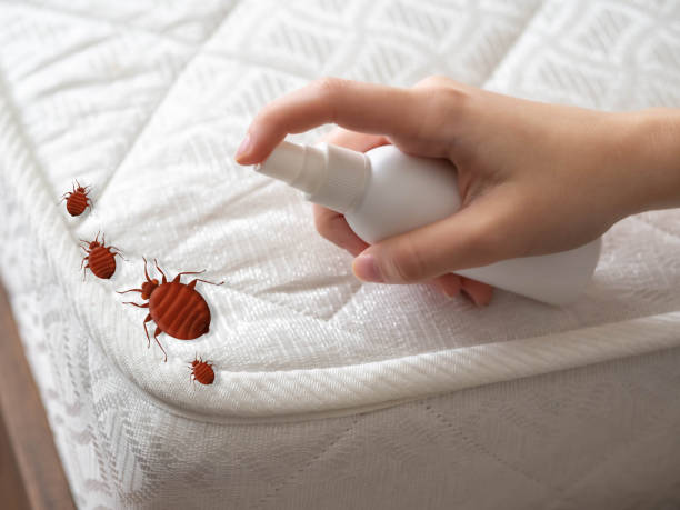 Best Pest Prevention Services  in Tahoma, CA