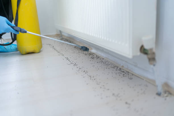 Best Cockroach Control Services  in Tahoma, CA