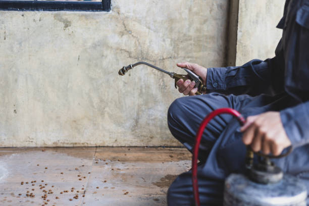 Best Wasp Removal Services  in Tahoma, CA